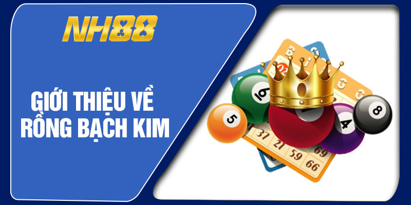 Giới Thiệu Về Rồng Bạch Kim